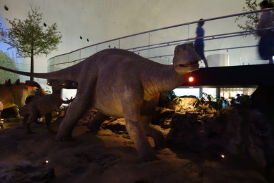 恐竜博物館(福井県・勝山)へ行って来ました！