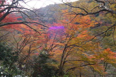 大阪の箕面大滝を見た後は京都のラーメン二郎を経て天翔の湯で終了！