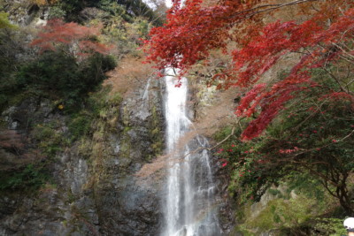 大阪の箕面大滝を見た後は京都のラーメン二郎を経て天翔の湯で終了！