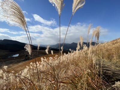 奈良の曾爾高原へ行ってススキ散策です！