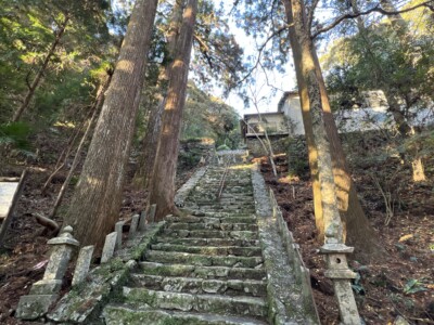 愛媛の宇和島から高知県へ行き、ひろめ市場でカツオのタタキと唐浜の神峯寺へ行った一日でした