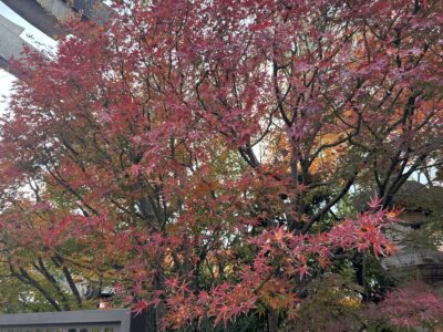 048-1 京都の晴明神社と伏見稲荷へ行ってきました!