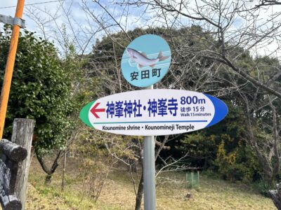 061 2日間かけて高知のカツオ、愛媛のタイ、山口のふぐを巡ってきました!