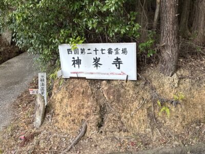 063 2日間かけて高知のカツオ、愛媛のタイ、山口のふぐを巡ってきました!