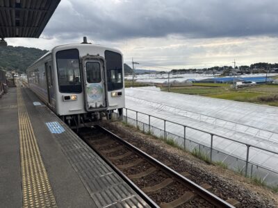 104 2日間かけて高知のカツオ、愛媛のタイ、山口のふぐを巡ってきました!
