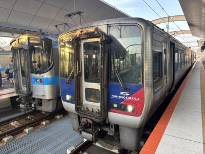 151 2日間かけて高知のカツオ、愛媛のタイ、山口のふぐを巡ってきました!