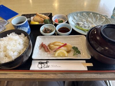 271 2日間かけて高知のカツオ、愛媛のタイ、山口のふぐを巡ってきました!