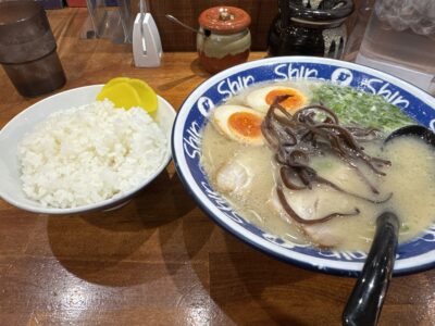 308 2日間かけて高知のカツオ、愛媛のタイ、山口のふぐを巡ってきました!