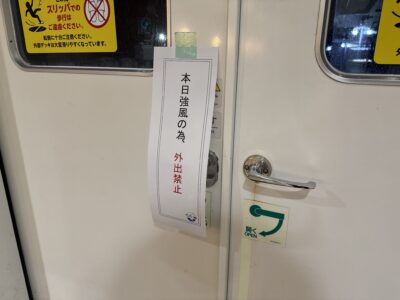 347 2日間かけて高知のカツオ、愛媛のタイ、山口のふぐを巡ってきました!