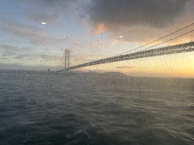 359 2日間かけて高知のカツオ、愛媛のタイ、山口のふぐを巡ってきました!