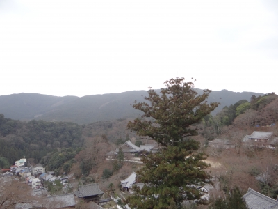 奈良の長谷寺へ行ってきました