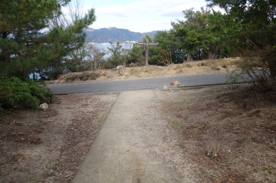 大久野島(おおくのしま)のウサギを見る旅 2日目(福山駅～大久野島～津まで)